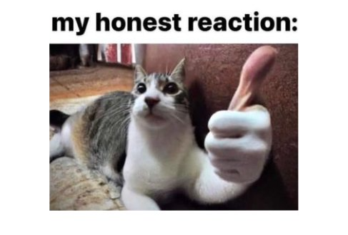 My Honest Reaction Meme Template