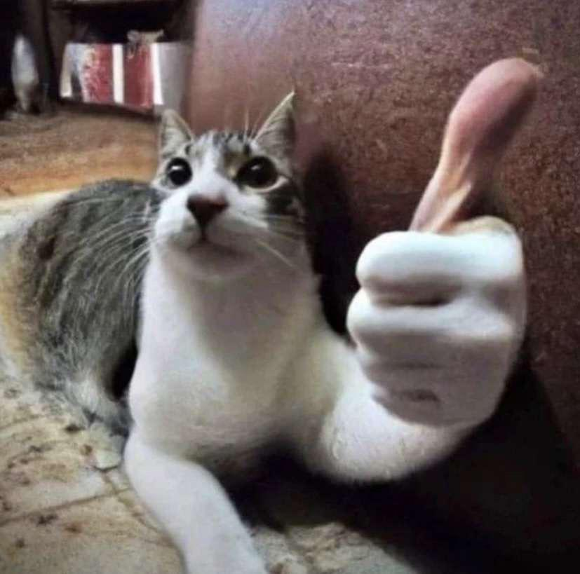 Classic Cat Thumbs Up
